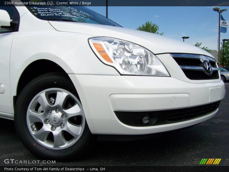 Cosmic White / Beige 2008 Hyundai Entourage GLS