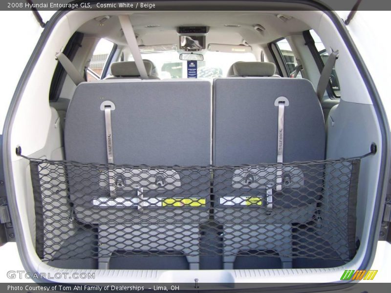 Cosmic White / Beige 2008 Hyundai Entourage GLS