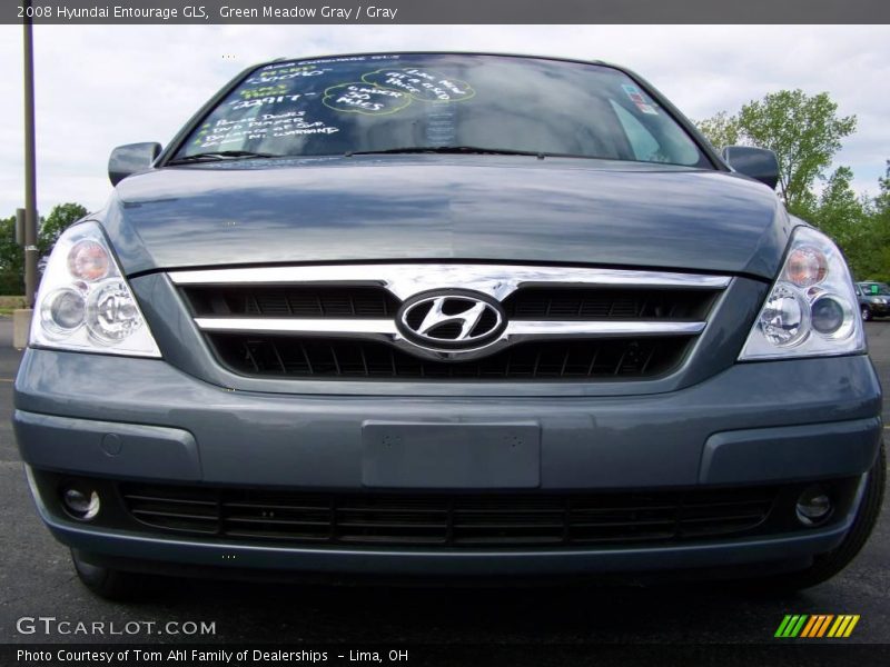 Green Meadow Gray / Gray 2008 Hyundai Entourage GLS