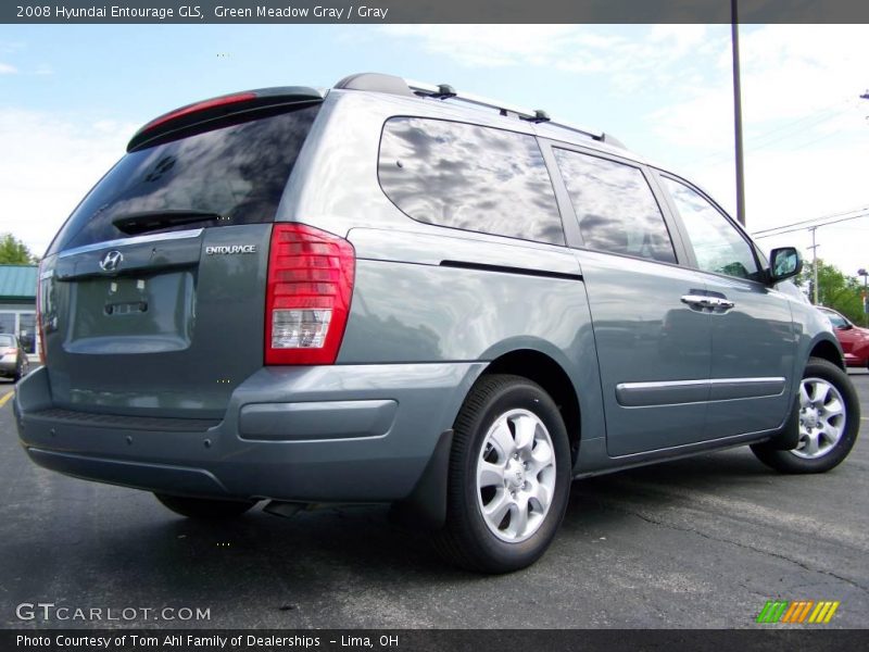 Green Meadow Gray / Gray 2008 Hyundai Entourage GLS