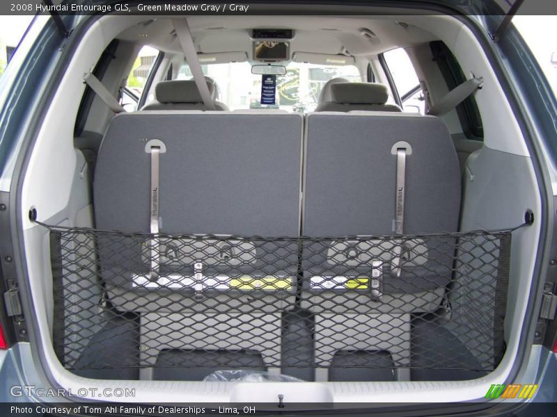 Green Meadow Gray / Gray 2008 Hyundai Entourage GLS