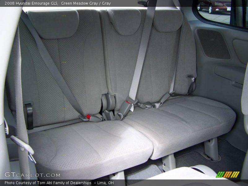 Green Meadow Gray / Gray 2008 Hyundai Entourage GLS