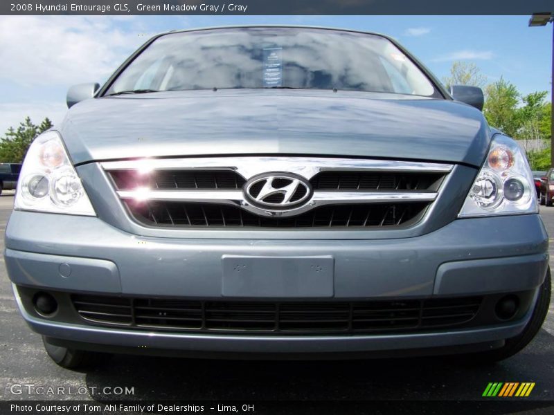 Green Meadow Gray / Gray 2008 Hyundai Entourage GLS
