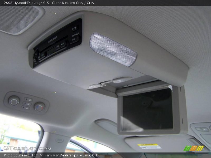 Green Meadow Gray / Gray 2008 Hyundai Entourage GLS