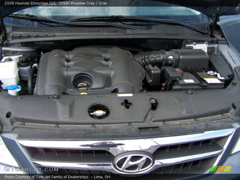 Green Meadow Gray / Gray 2008 Hyundai Entourage GLS