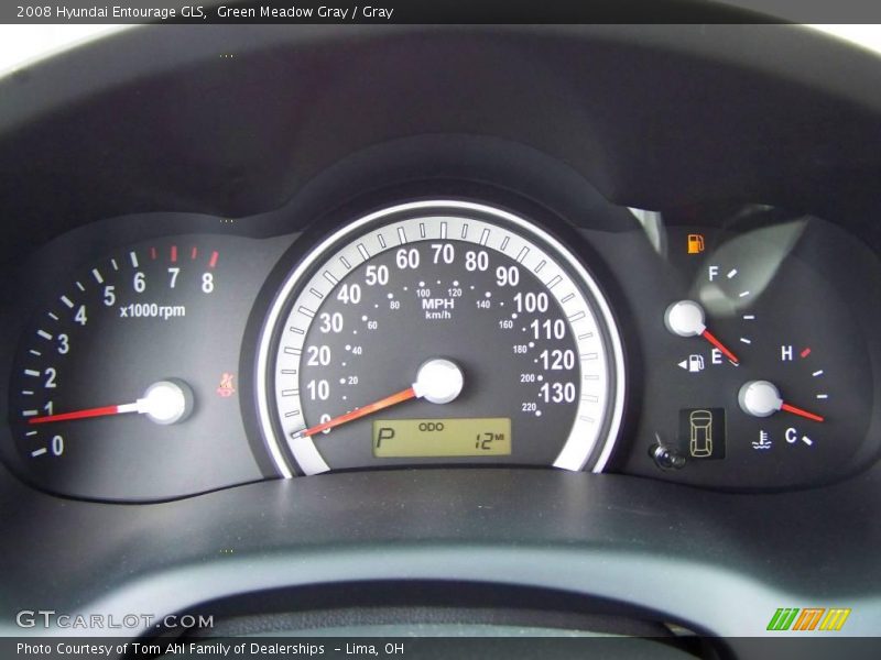 Green Meadow Gray / Gray 2008 Hyundai Entourage GLS