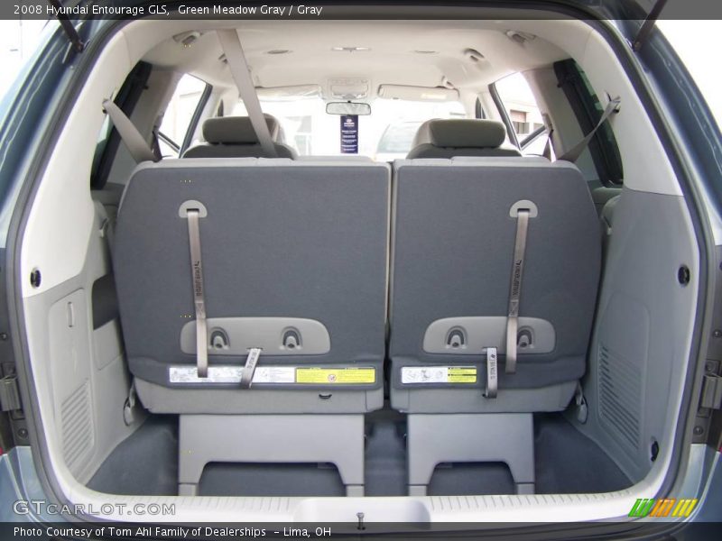 Green Meadow Gray / Gray 2008 Hyundai Entourage GLS