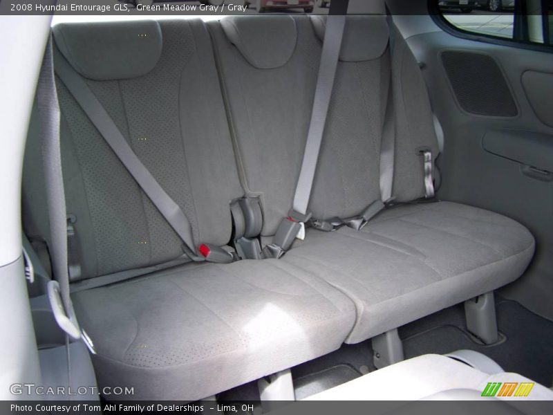 Green Meadow Gray / Gray 2008 Hyundai Entourage GLS