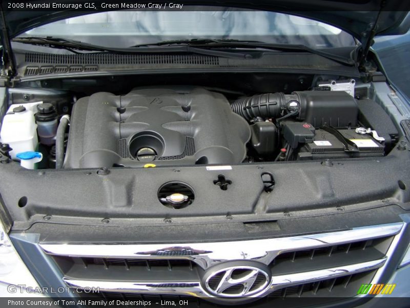Green Meadow Gray / Gray 2008 Hyundai Entourage GLS