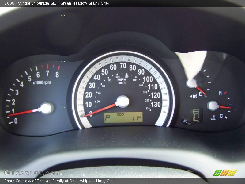 Green Meadow Gray / Gray 2008 Hyundai Entourage GLS