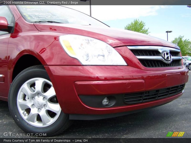 Cranberry Red / Beige 2008 Hyundai Entourage GLS