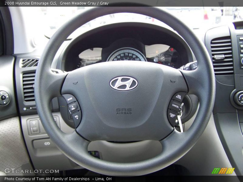 Green Meadow Gray / Gray 2008 Hyundai Entourage GLS