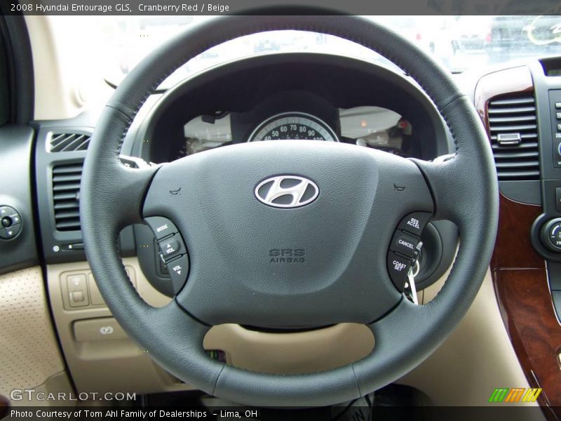 Cranberry Red / Beige 2008 Hyundai Entourage GLS