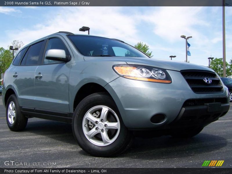 Platinum Sage / Gray 2008 Hyundai Santa Fe GLS