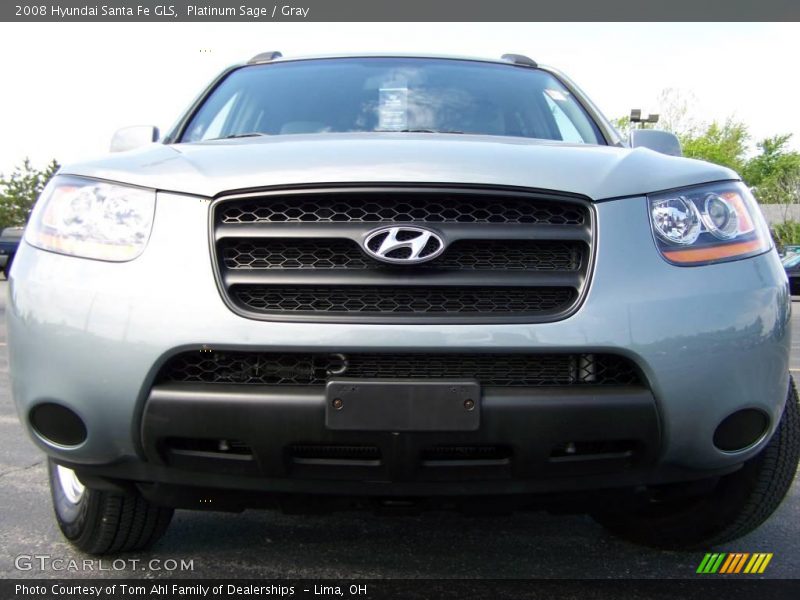 Platinum Sage / Gray 2008 Hyundai Santa Fe GLS