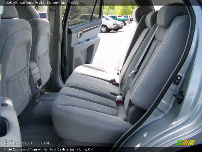 Platinum Sage / Gray 2008 Hyundai Santa Fe GLS