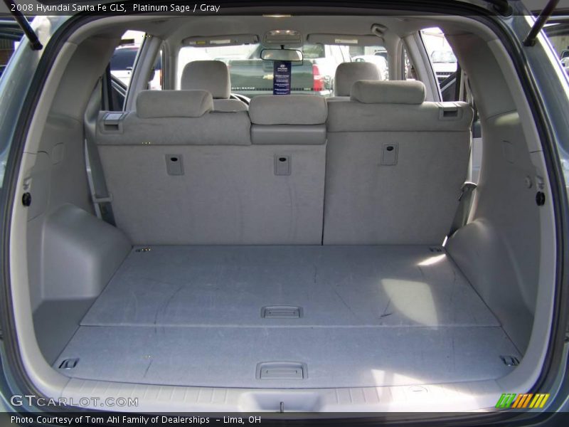 Platinum Sage / Gray 2008 Hyundai Santa Fe GLS