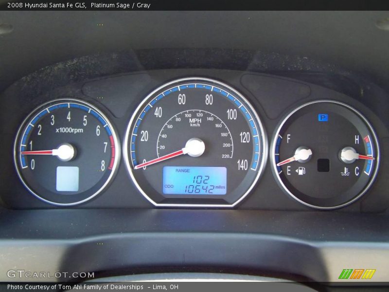 Platinum Sage / Gray 2008 Hyundai Santa Fe GLS