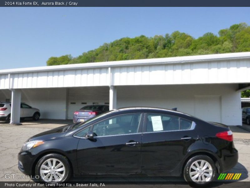 Aurora Black / Gray 2014 Kia Forte EX