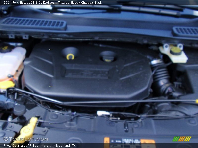 Tuxedo Black / Charcoal Black 2014 Ford Escape SE 2.0L EcoBoost