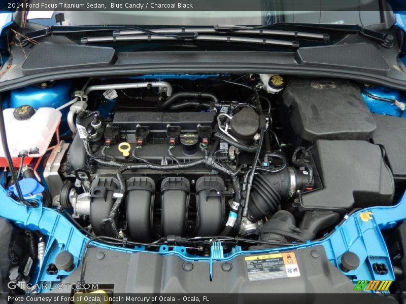 Blue Candy / Charcoal Black 2014 Ford Focus Titanium Sedan