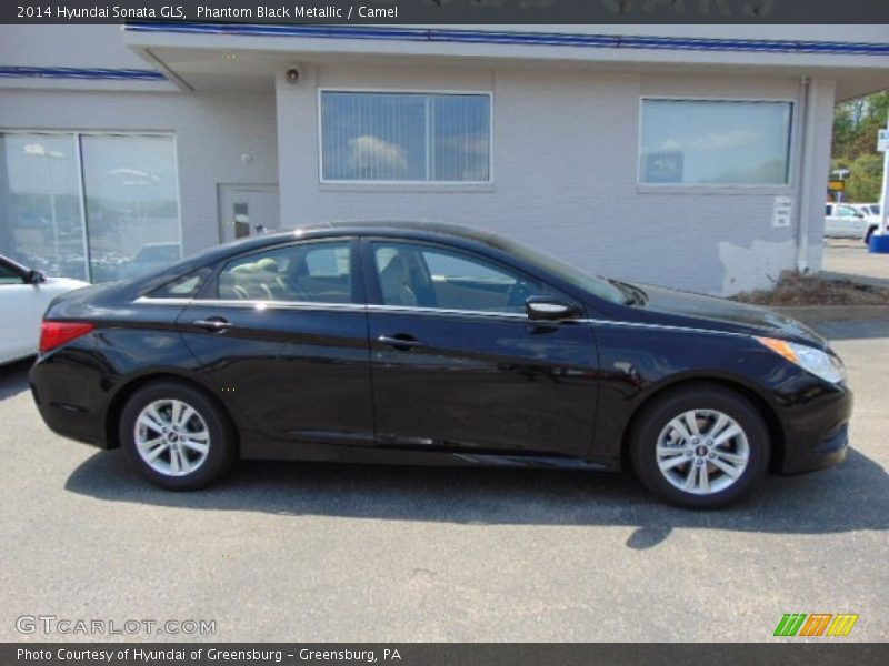 Phantom Black Metallic / Camel 2014 Hyundai Sonata GLS