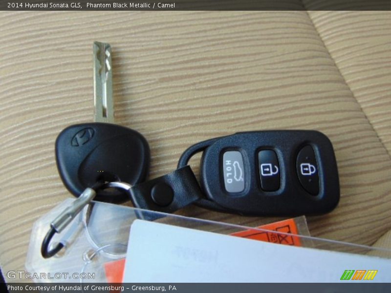 Phantom Black Metallic / Camel 2014 Hyundai Sonata GLS