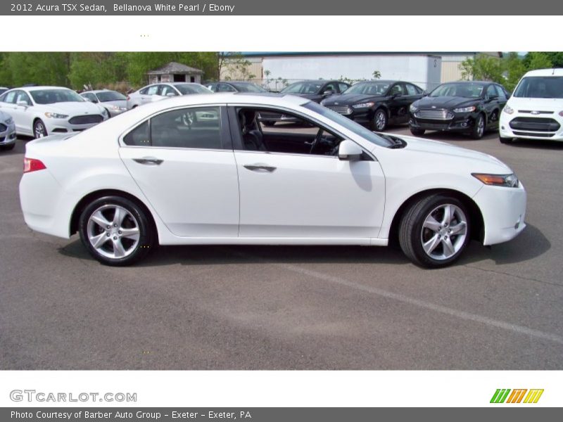 Bellanova White Pearl / Ebony 2012 Acura TSX Sedan