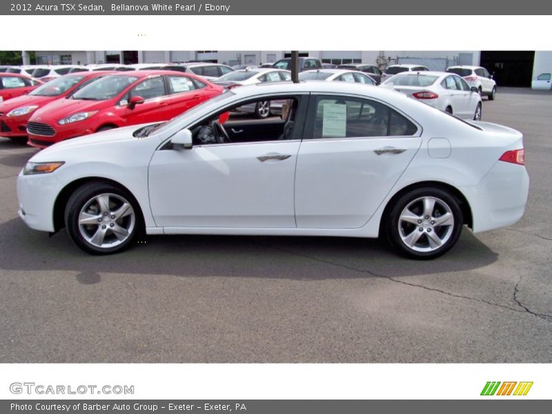 Bellanova White Pearl / Ebony 2012 Acura TSX Sedan