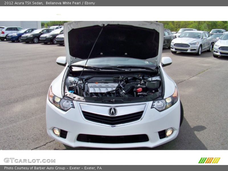 Bellanova White Pearl / Ebony 2012 Acura TSX Sedan