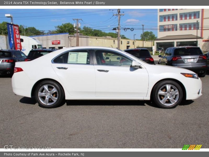 Bellanova White Pearl / Ebony 2014 Acura TSX Technology Sedan