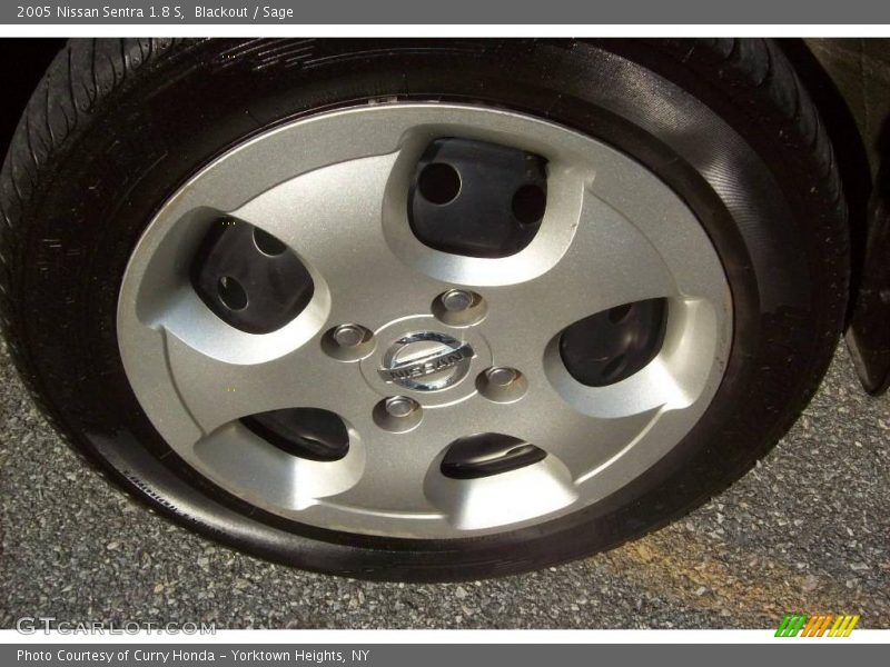 Blackout / Sage 2005 Nissan Sentra 1.8 S