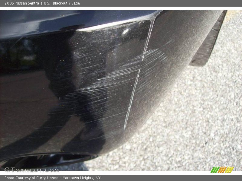 Blackout / Sage 2005 Nissan Sentra 1.8 S