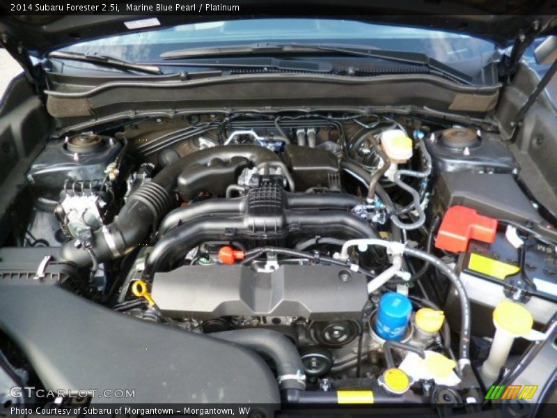 Marine Blue Pearl / Platinum 2014 Subaru Forester 2.5i