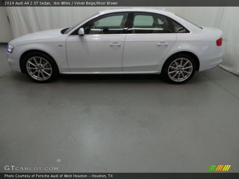 Ibis White / Velvet Beige/Moor Brown 2014 Audi A4 2.0T Sedan