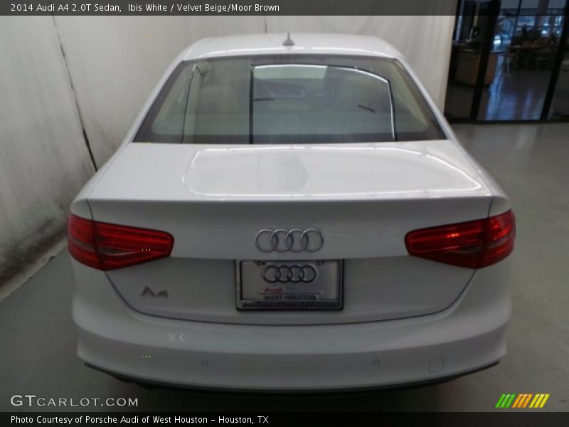 Ibis White / Velvet Beige/Moor Brown 2014 Audi A4 2.0T Sedan