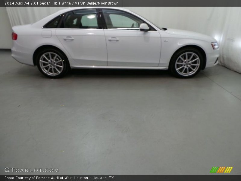 Ibis White / Velvet Beige/Moor Brown 2014 Audi A4 2.0T Sedan