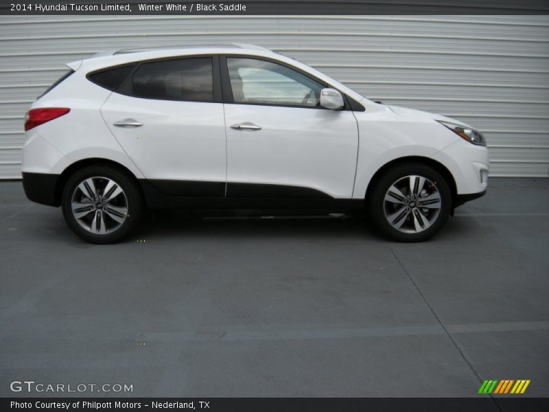Winter White / Black Saddle 2014 Hyundai Tucson Limited