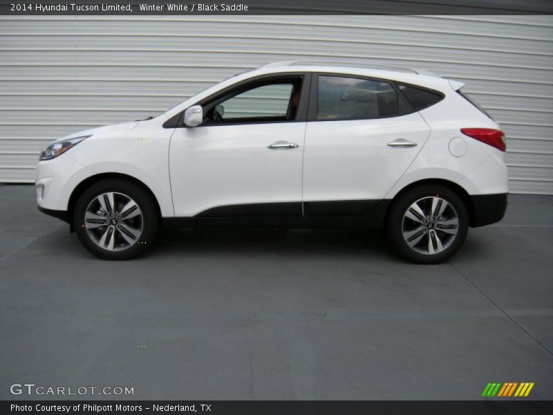 Winter White / Black Saddle 2014 Hyundai Tucson Limited