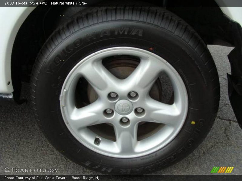 Natural White / Gray 2003 Toyota RAV4 4WD