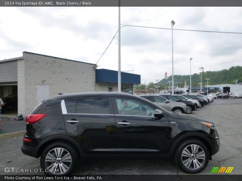 Black Cherry / Black 2014 Kia Sportage EX AWD