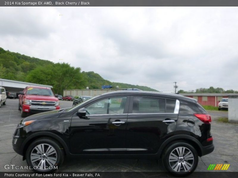 Black Cherry / Black 2014 Kia Sportage EX AWD