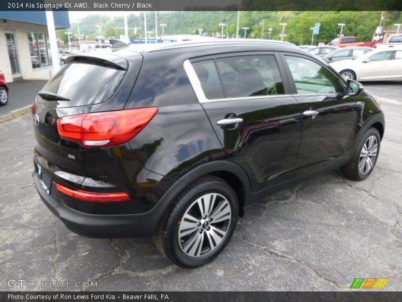 Black Cherry / Black 2014 Kia Sportage EX AWD