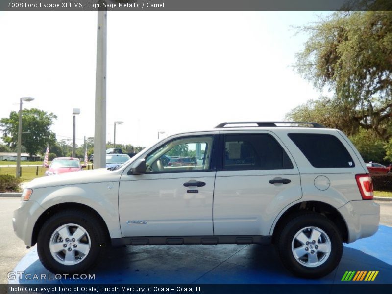  2008 Escape XLT V6 Light Sage Metallic