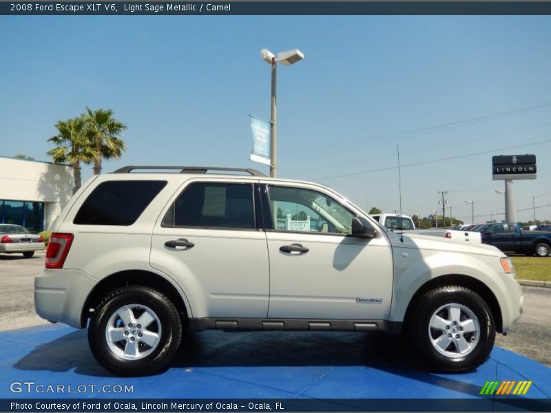 Light Sage Metallic / Camel 2008 Ford Escape XLT V6