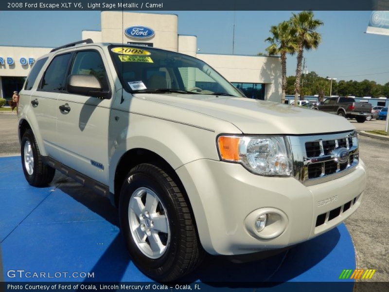 Light Sage Metallic / Camel 2008 Ford Escape XLT V6
