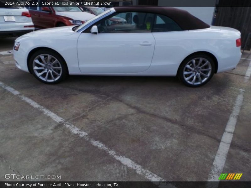 Ibis White / Chestnut Brown 2014 Audi A5 2.0T Cabriolet