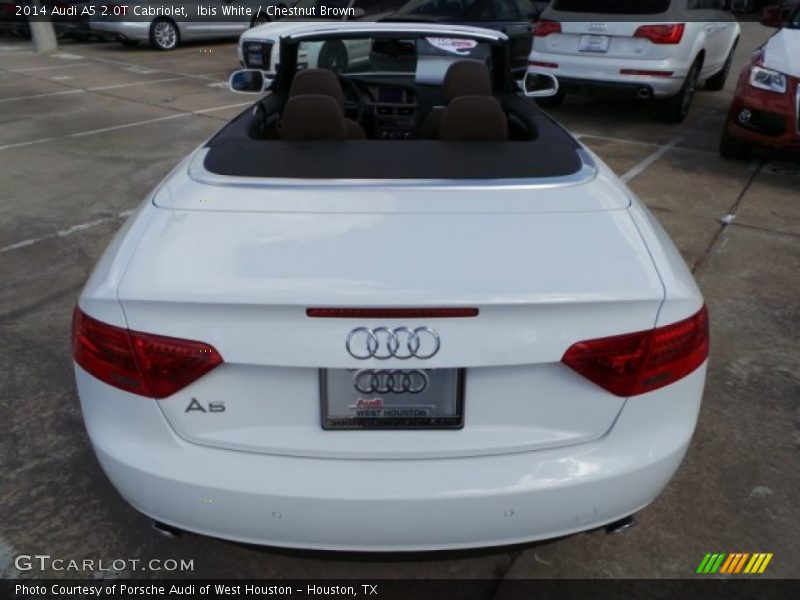 Ibis White / Chestnut Brown 2014 Audi A5 2.0T Cabriolet