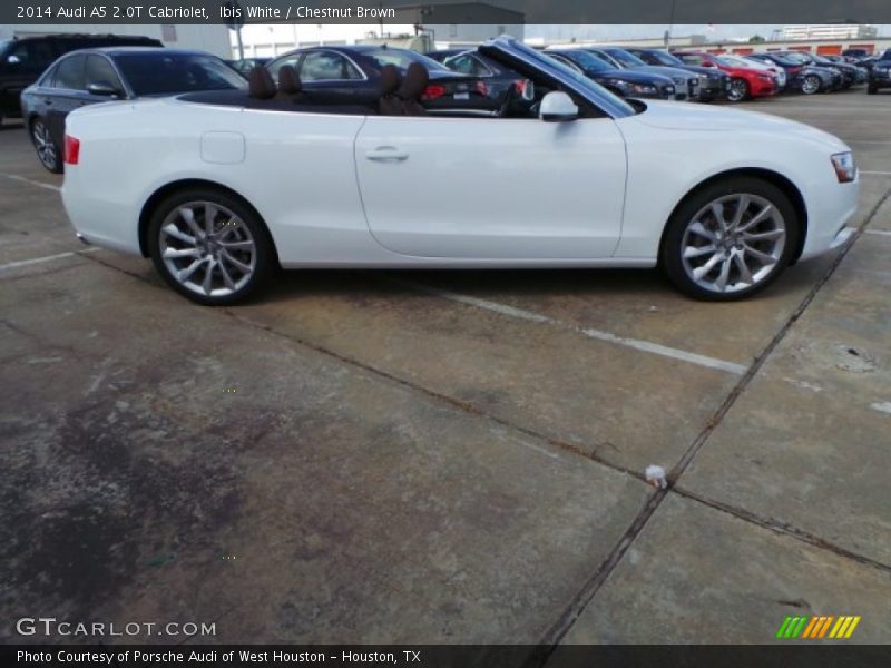Ibis White / Chestnut Brown 2014 Audi A5 2.0T Cabriolet