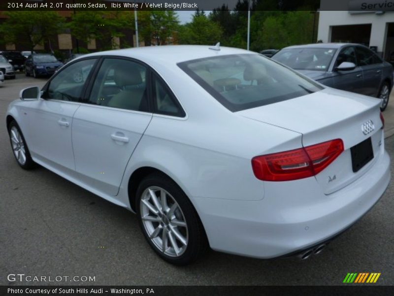 Ibis White / Velvet Beige/Black 2014 Audi A4 2.0T quattro Sedan